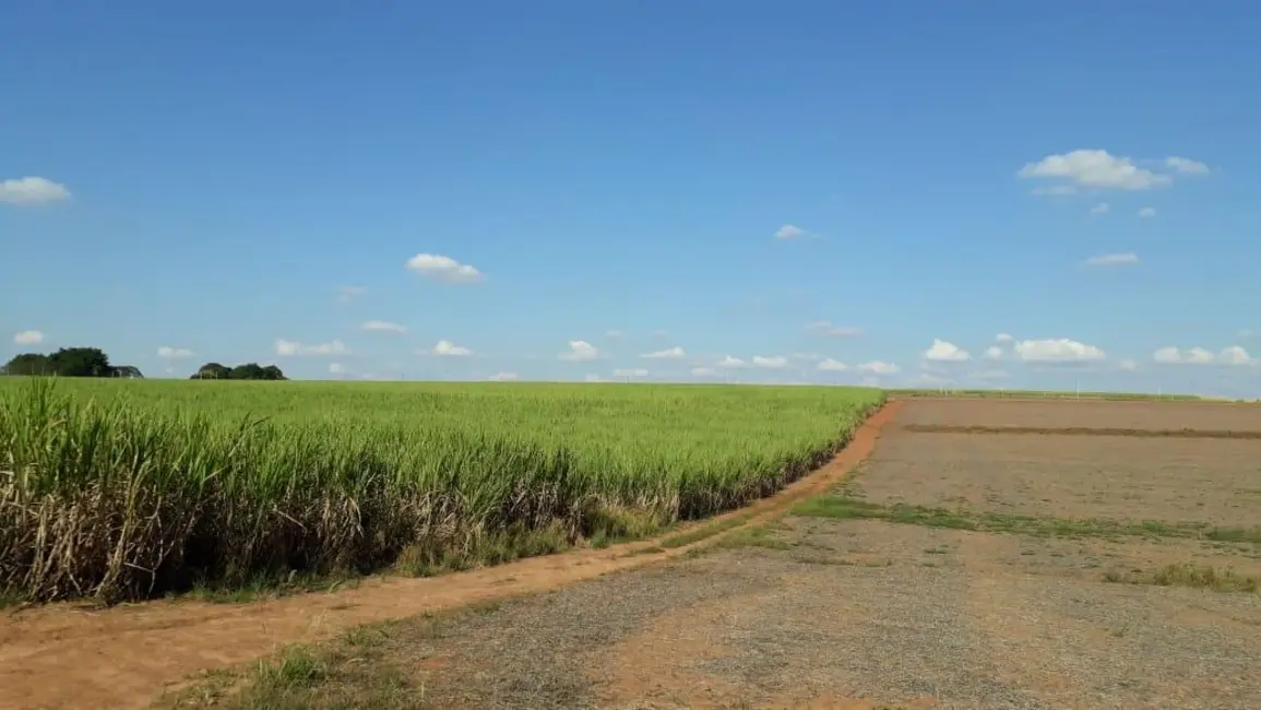 Foto 5 de Sala Comercial à venda, 338800m2 em Elias Fausto - SP