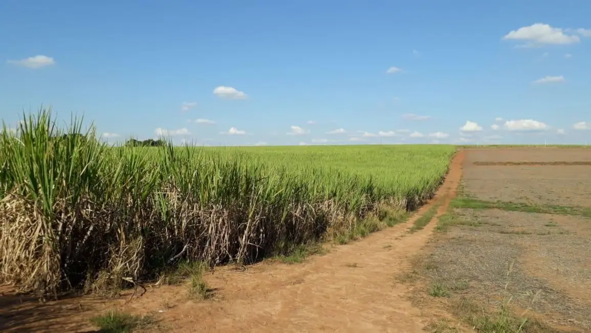 Foto 6 de Sala Comercial à venda, 338800m2 em Elias Fausto - SP