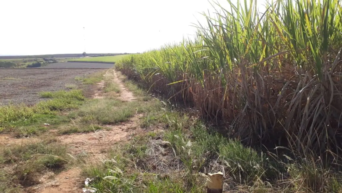 Foto 8 de Sala Comercial à venda, 338800m2 em Elias Fausto - SP