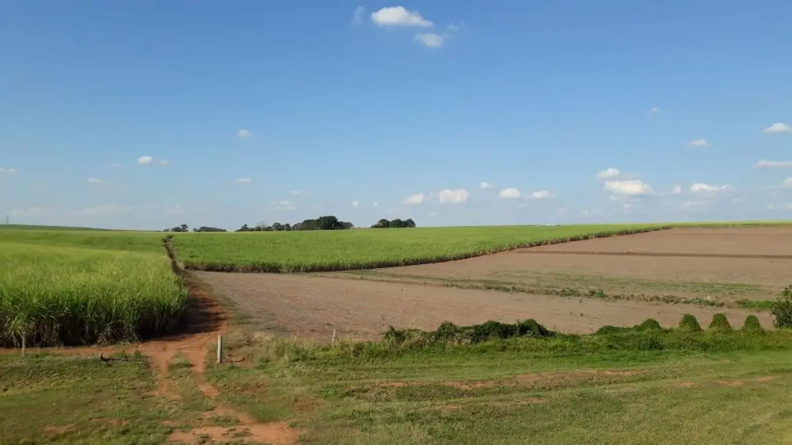 Foto 4 de Sala Comercial à venda, 338800m2 em Elias Fausto - SP