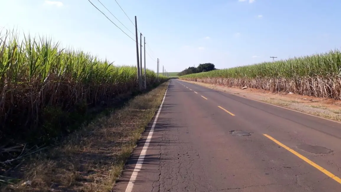 Foto 9 de Sala Comercial à venda, 338800m2 em Elias Fausto - SP