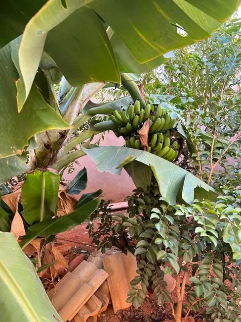 Foto 8 de Casa com 3 quartos à venda, 250m2 em Itupeva - SP