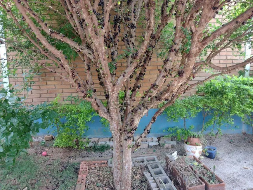 Chácara com 3 quartos à venda, 2038m2 em Itupeva - SP - imagem 9 Foto 9 de Chácara com 3 quartos à venda, 2038m2 em Itupeva - SP