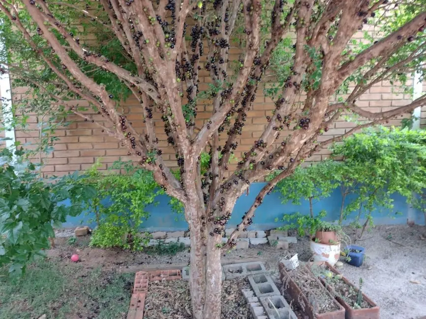 Foto 9 de Chácara com 3 quartos à venda, 2038m2 em Itupeva - SP