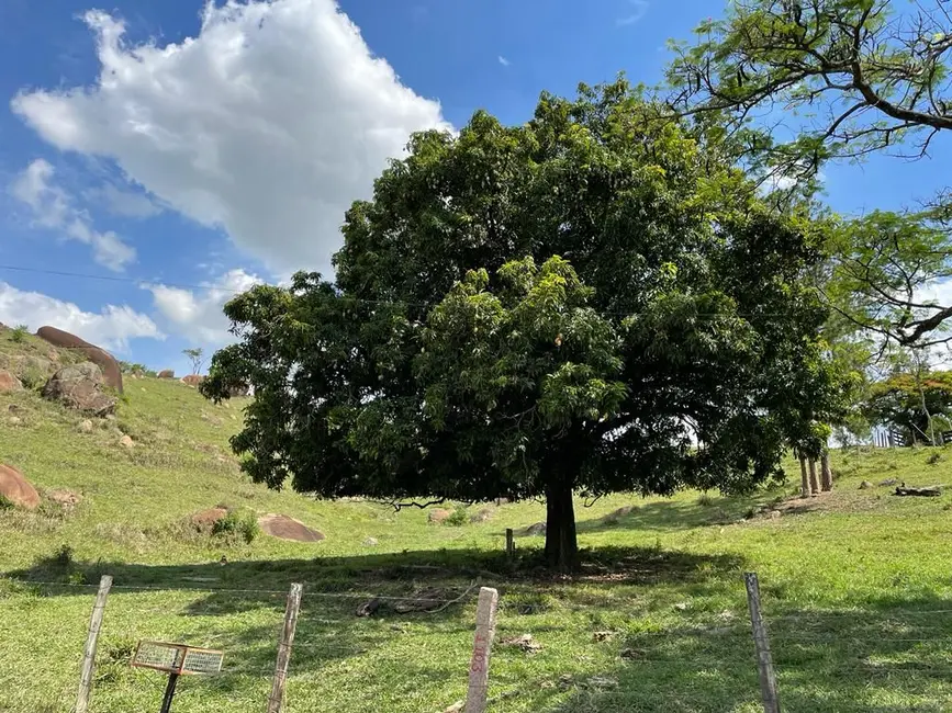 Sala Comercial à venda, 96800m2 em Itupeva - SP - imagem 3 Foto 3 de Sala Comercial à venda, 96800m2 em Itupeva - SP