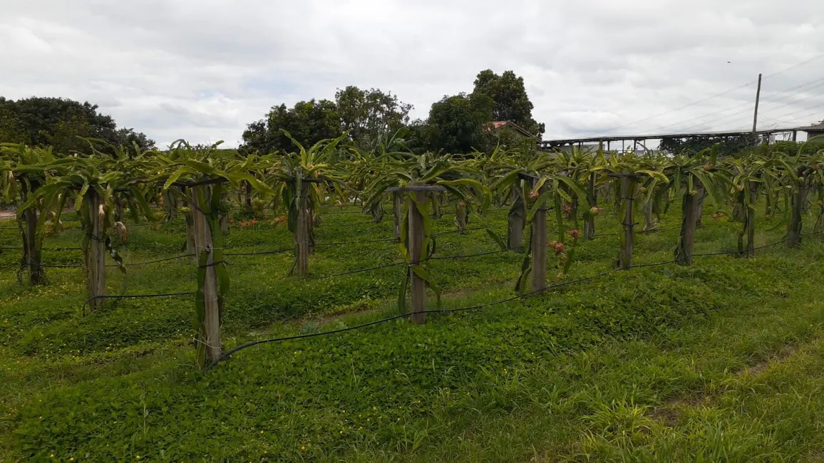 Foto 7 de Sítio / Rancho com 2 quartos à venda, 24200m2 em Elias Fausto - SP