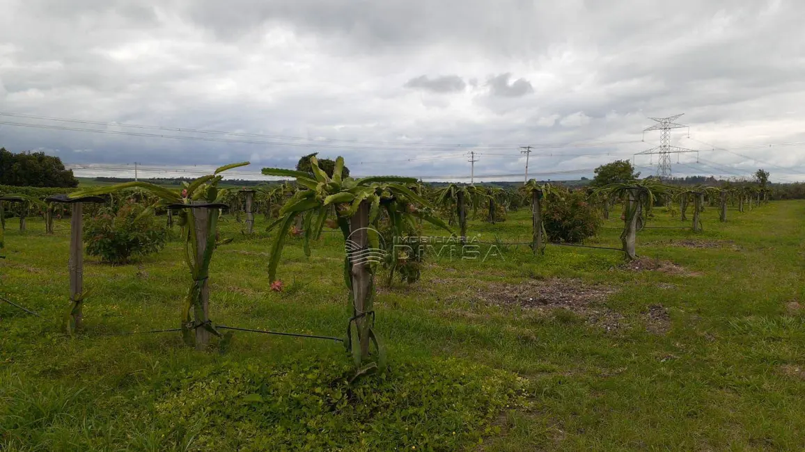Foto 6 de Sítio / Rancho com 2 quartos à venda, 24200m2 em Elias Fausto - SP