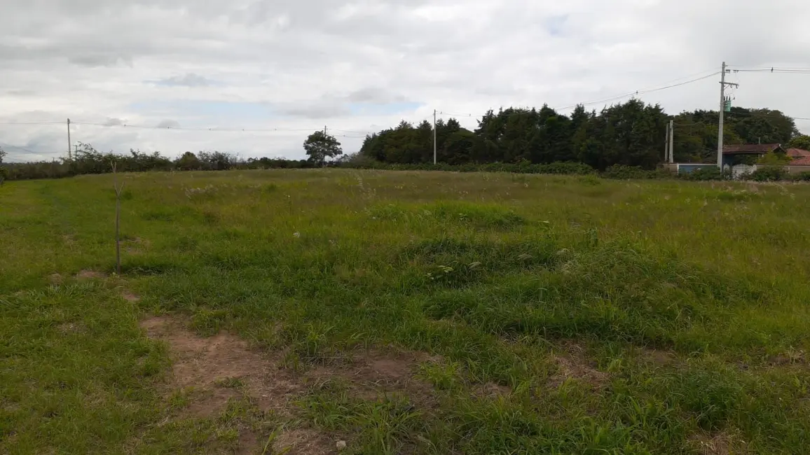 Foto 4 de Sítio / Rancho com 2 quartos à venda, 24200m2 em Elias Fausto - SP