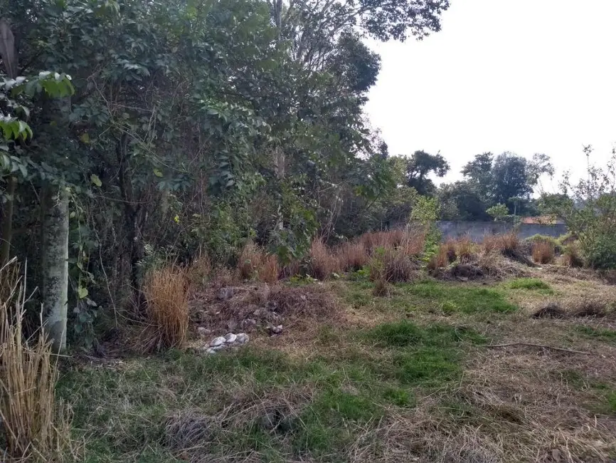 Foto 6 de Sala Comercial à venda, 5700m2 em Itupeva - SP
