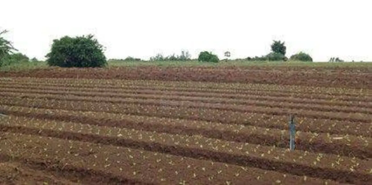 Foto 1 de Sala Comercial à venda, 60000m2 em Helvétia Country, Indaiatuba - SP