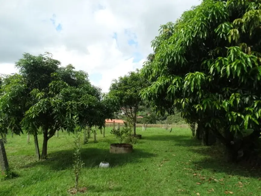 Foto 9 de Chácara com 3 quartos à venda, 6000m2 em Itupeva - SP
