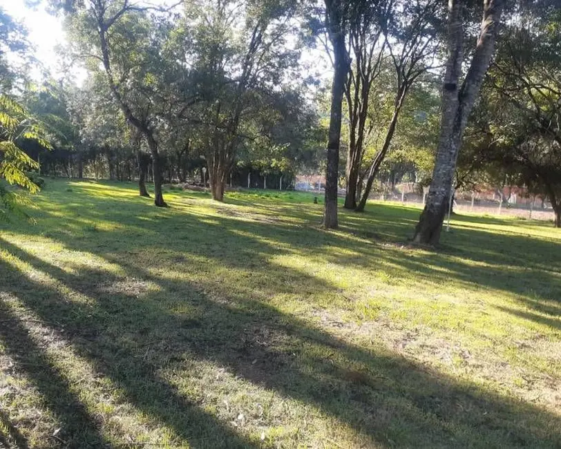 Chácara com 3 quartos à venda, 5000m2 em Itupeva - SP - imagem 8 Foto 8 de Chácara com 3 quartos à venda, 5000m2 em Itupeva - SP