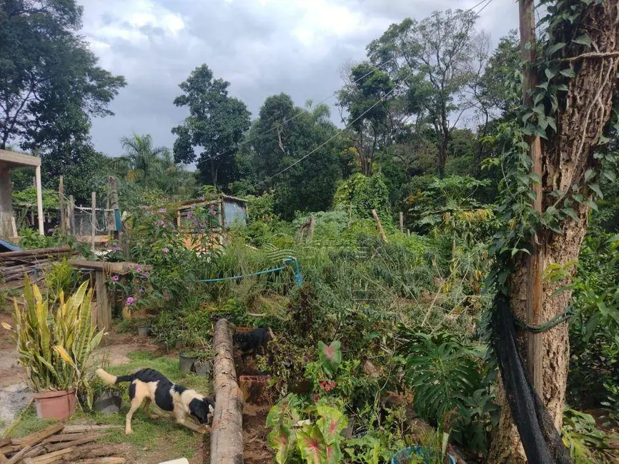 Foto 4 de Chácara à venda, 5600m2 em Itupeva - SP