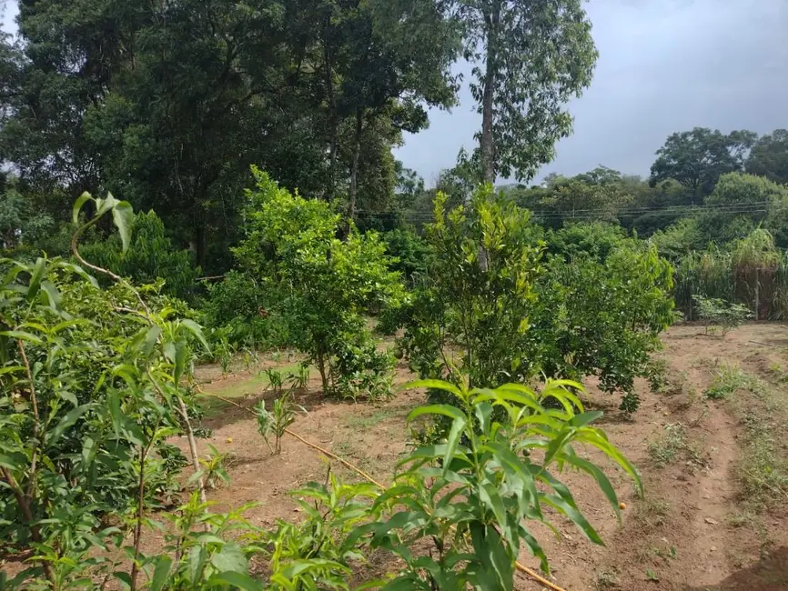 Foto 6 de Chácara à venda, 5600m2 em Itupeva - SP
