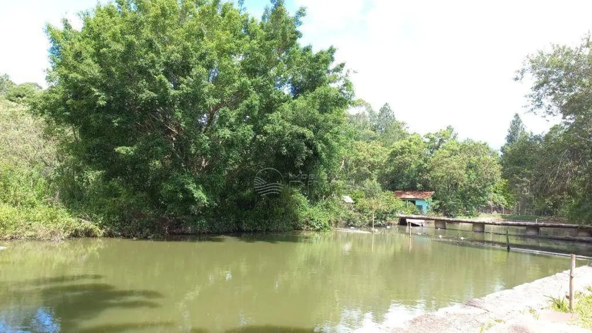 Foto 5 de Chácara com 4 quartos à venda, 5000m2 em Itupeva - SP
