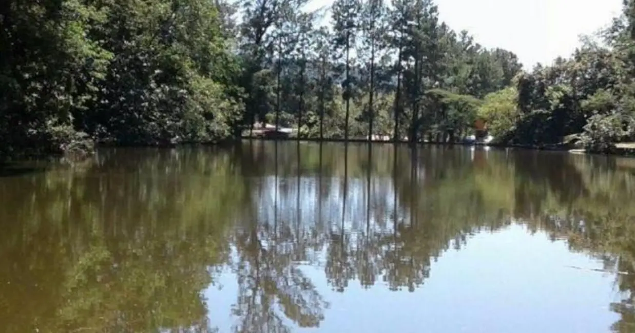 Foto 6 de Terreno / Lote à venda, 1202m2 em Itupeva - SP