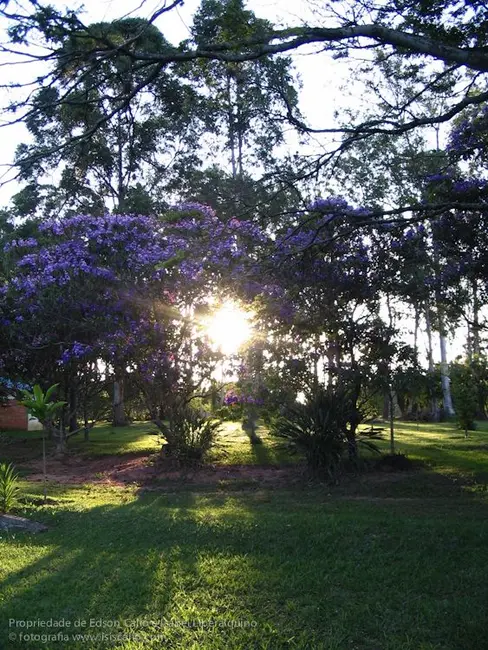 Foto 7 de Chácara com 4 quartos à venda, 26607m2 em Itupeva - SP