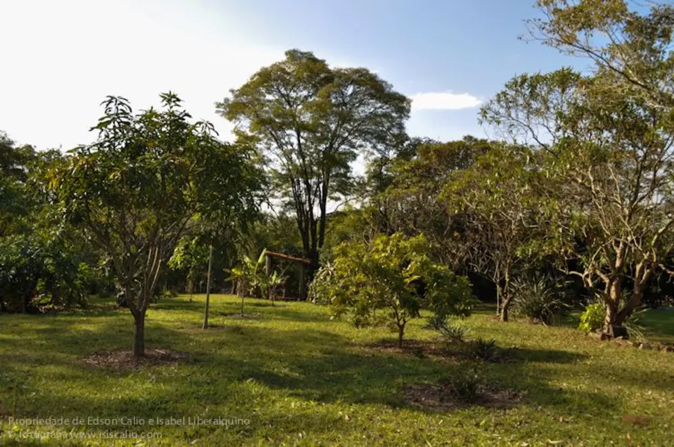 Foto 8 de Chácara com 4 quartos à venda, 26607m2 em Itupeva - SP