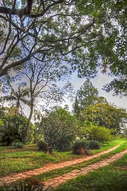 Foto 6 de Chácara com 4 quartos à venda, 26607m2 em Itupeva - SP