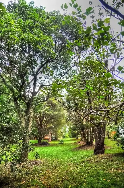 Foto 9 de Chácara com 4 quartos à venda, 26607m2 em Itupeva - SP