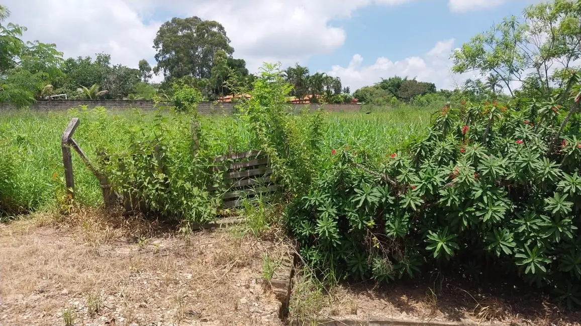 Foto 8 de Chácara à venda, 5000m2 em Elias Fausto - SP