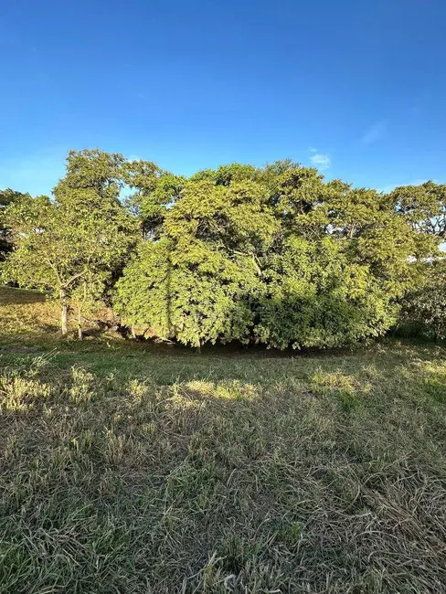 Foto 2 de Chácara à venda, 2098m2 em Elias Fausto - SP