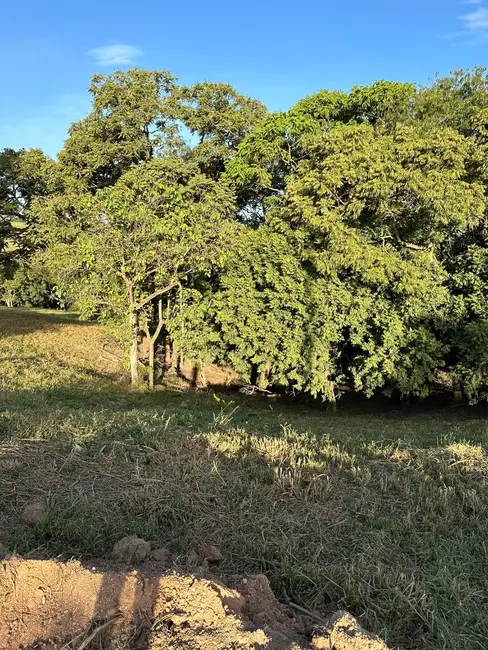 Foto 3 de Chácara à venda, 2098m2 em Elias Fausto - SP
