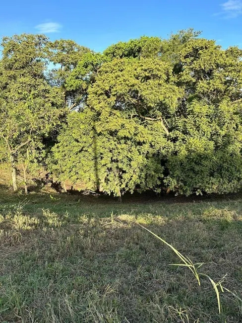 Foto 1 de Chácara à venda, 2098m2 em Elias Fausto - SP