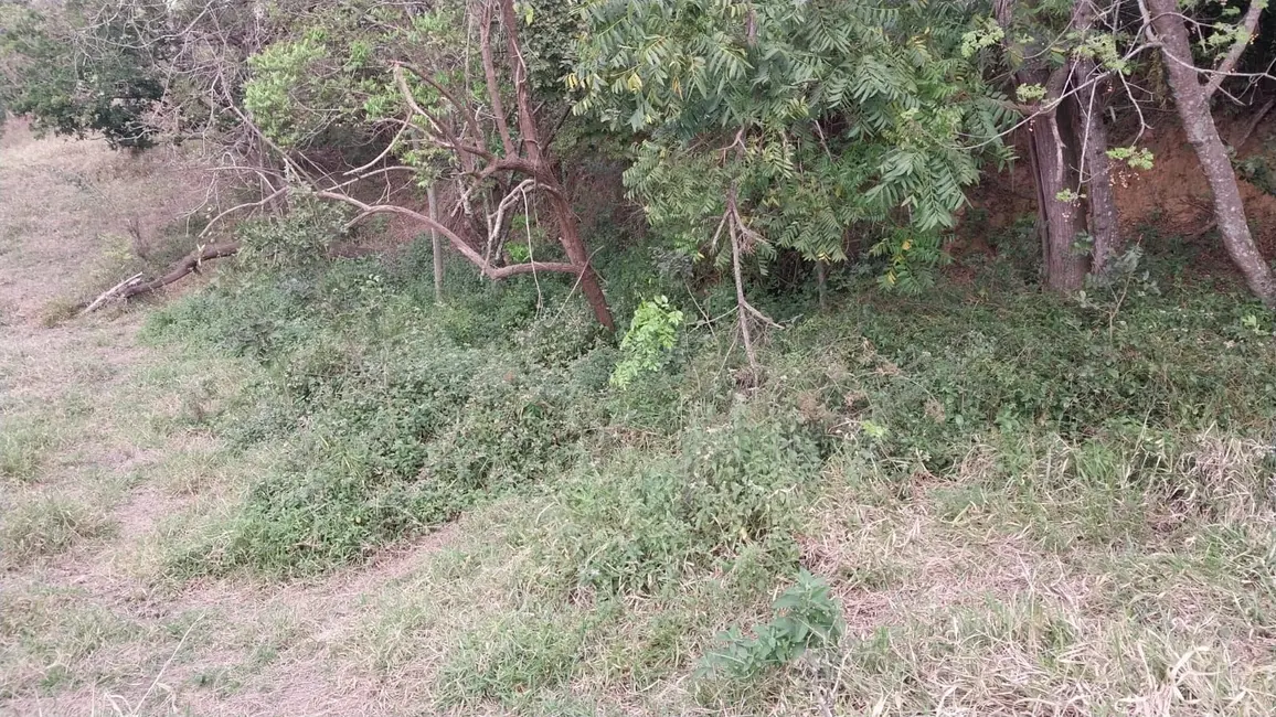 Foto 4 de Terreno / Lote à venda, 2114m2 em Centro, Elias Fausto - SP