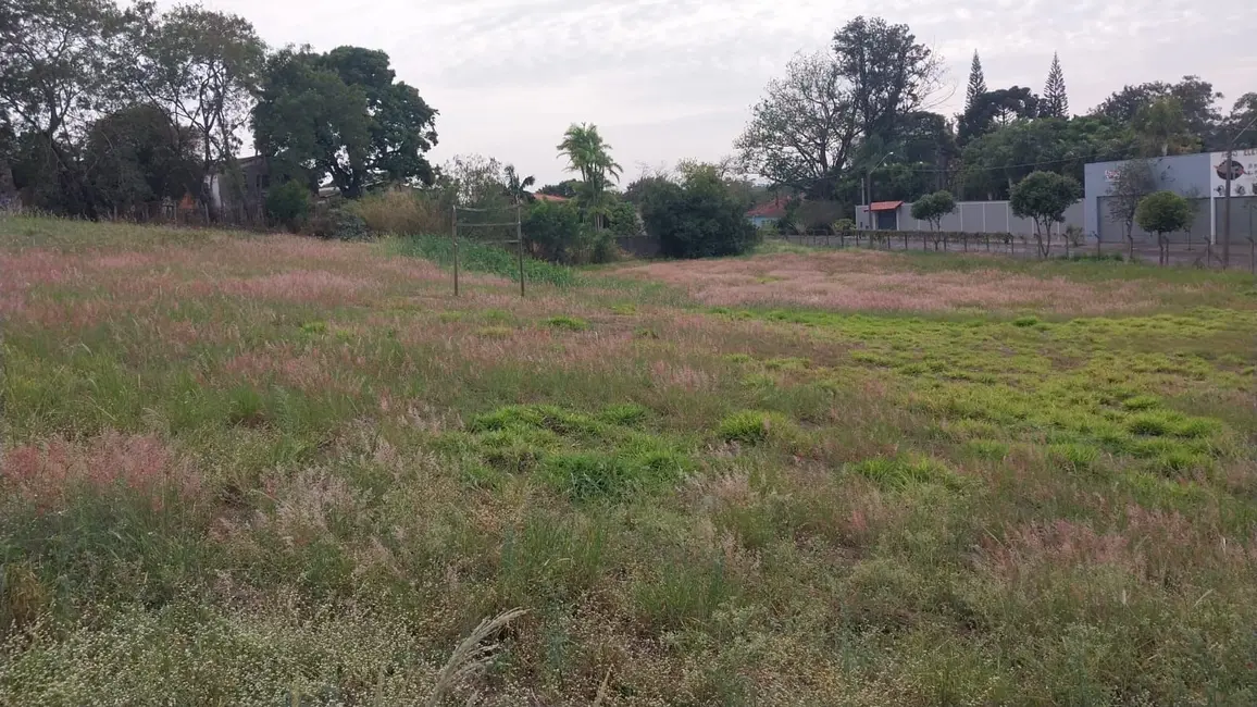 Foto 3 de Terreno / Lote à venda, 5934m2 em Centro, Elias Fausto - SP