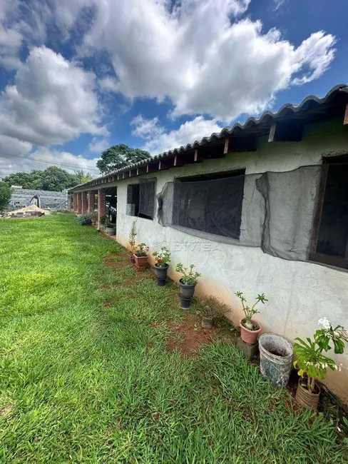 Foto 8 de Chácara com 3 quartos à venda, 1000m2 em Elias Fausto - SP