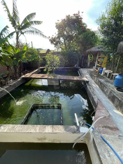 Foto 9 de Chácara com 3 quartos à venda, 1000m2 em Elias Fausto - SP