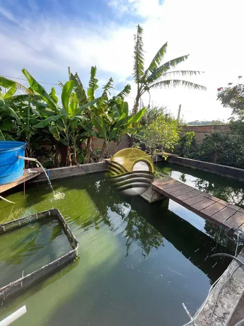 Foto 8 de Chácara com 3 quartos à venda, 1000m2 em Elias Fausto - SP