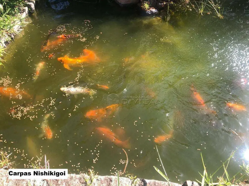 Foto 8 de Chácara com 5 quartos à venda, 5000m2 em Itupeva - SP
