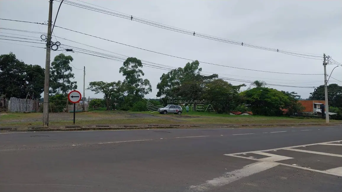 Foto 9 de Sala Comercial à venda, 2400m2 em Elias Fausto - SP