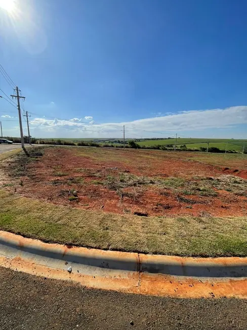 Foto 1 de Terreno / Lote à venda, 271m2 em Elias Fausto - SP