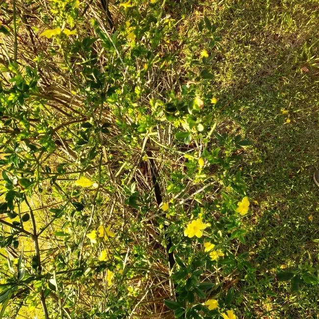 Foto 8 de Terreno / Lote à venda, 800m2 em Itupeva - SP