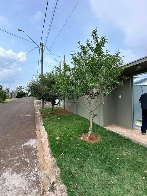 Foto 8 de Chácara com 3 quartos à venda, 1000m2 em Elias Fausto - SP