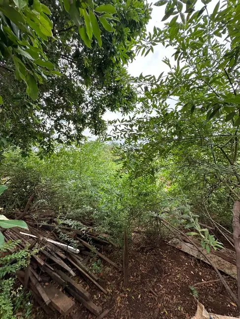 Terreno / Lote à venda, 1800m2 em Elias Fausto - SP - imagem 6 Foto 6 de Terreno / Lote à venda, 1800m2 em Elias Fausto - SP