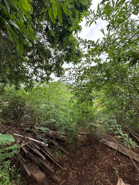 Foto 5 de Terreno / Lote à venda, 1800m2 em Elias Fausto - SP