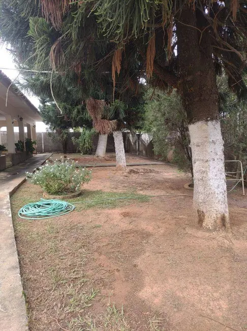 Foto 4 de Chácara com 5 quartos à venda, 2000m2 em Elias Fausto - SP