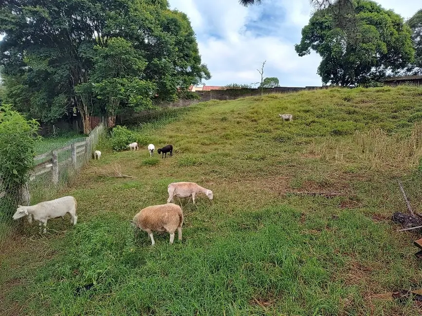 Foto 4 de Terreno / Lote à venda, 16981m2 em Itupeva - SP