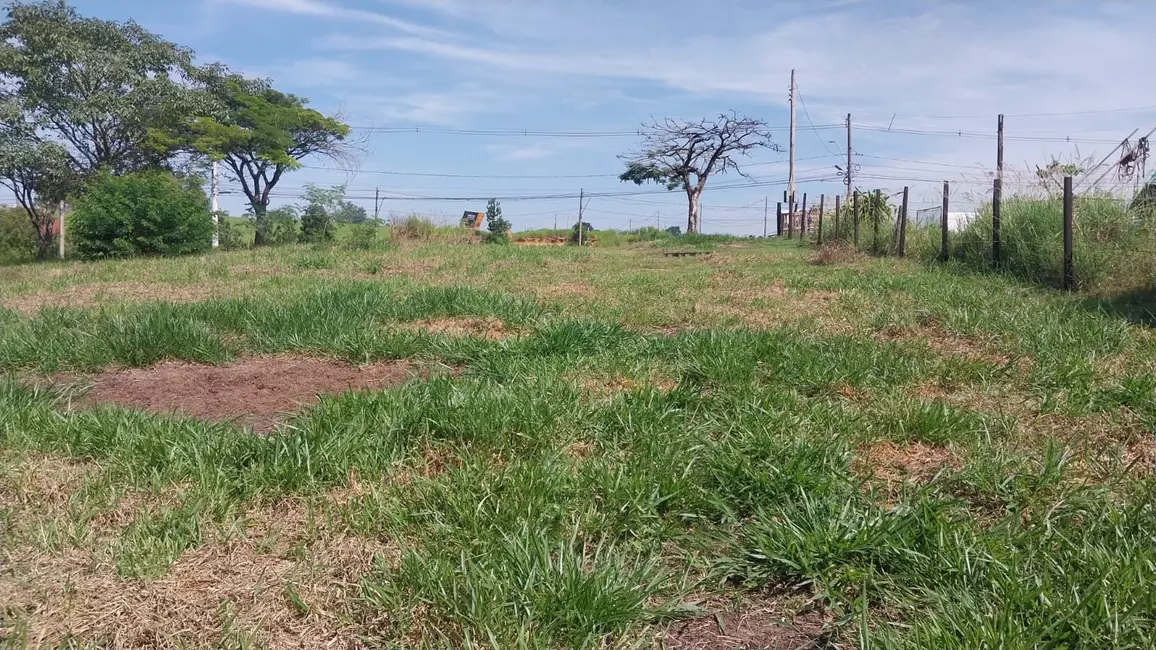 Foto 6 de Terreno / Lote à venda, 800m2 em Elias Fausto - SP