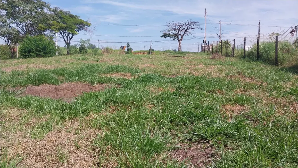 Foto 7 de Terreno / Lote à venda, 800m2 em Elias Fausto - SP