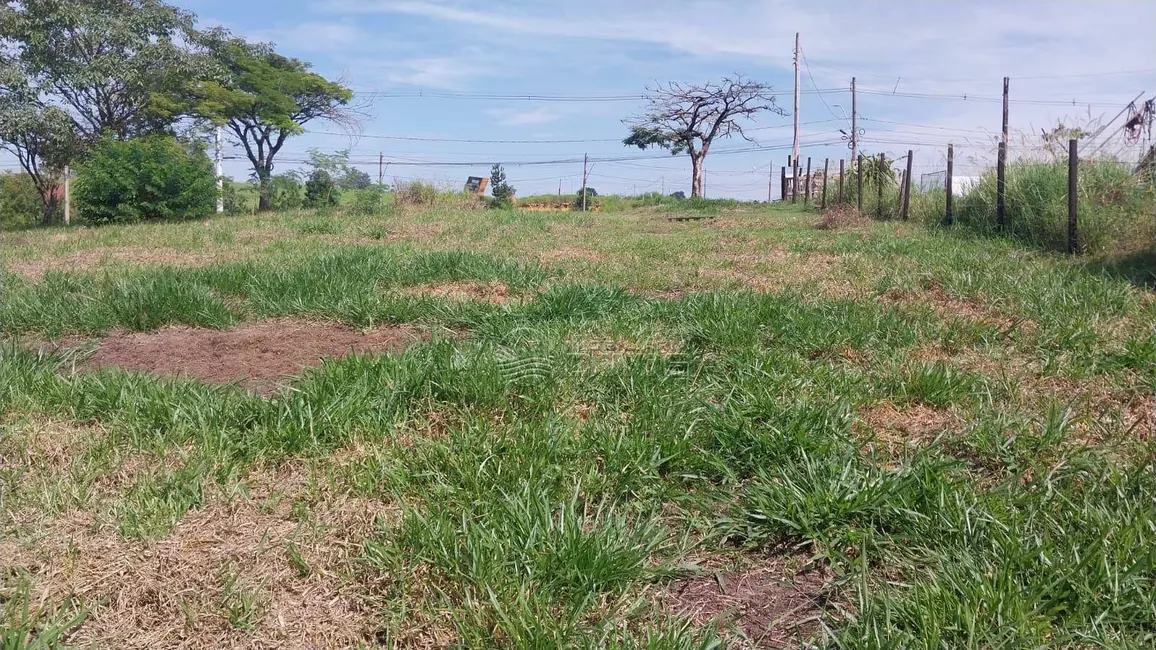 Foto 7 de Terreno / Lote à venda, 800m2 em Elias Fausto - SP