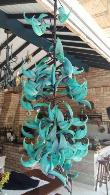 Foto 5 de Casa de Condomínio com 5 quartos à venda, 2498m2 em Itupeva - SP