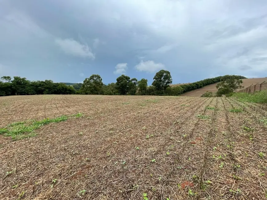 Foto 4 de Sala Comercial à venda, 20935m2 em Jarinu - SP