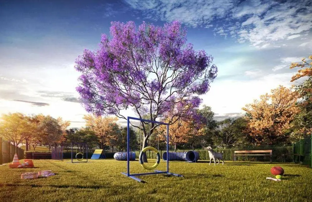 Foto 6 de Terreno / Lote à venda, 175m2 em Elias Fausto - SP