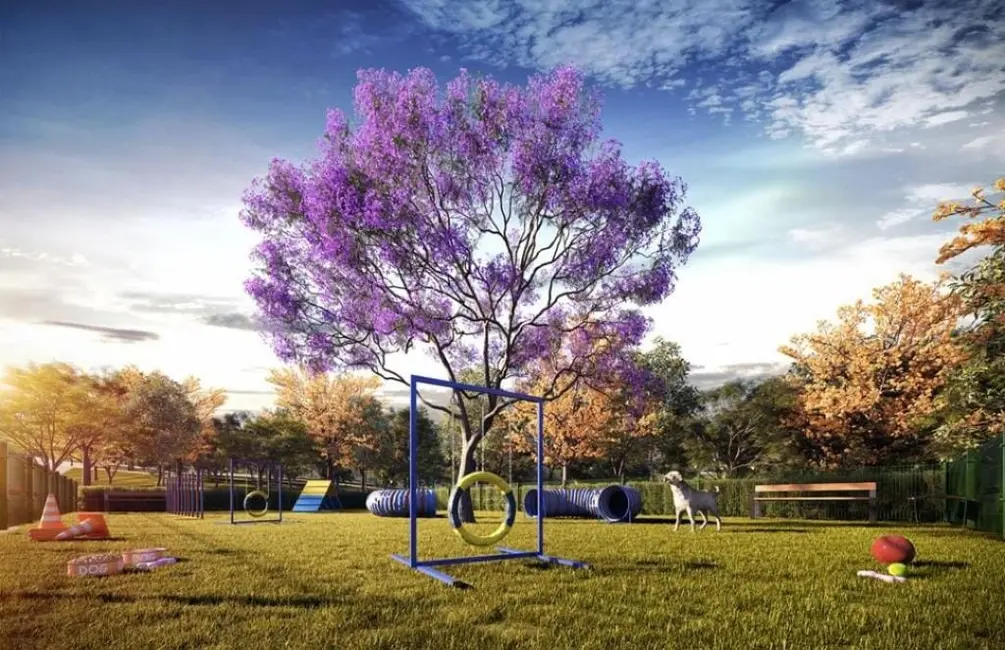 Foto 6 de Terreno / Lote à venda, 175m2 em Elias Fausto - SP