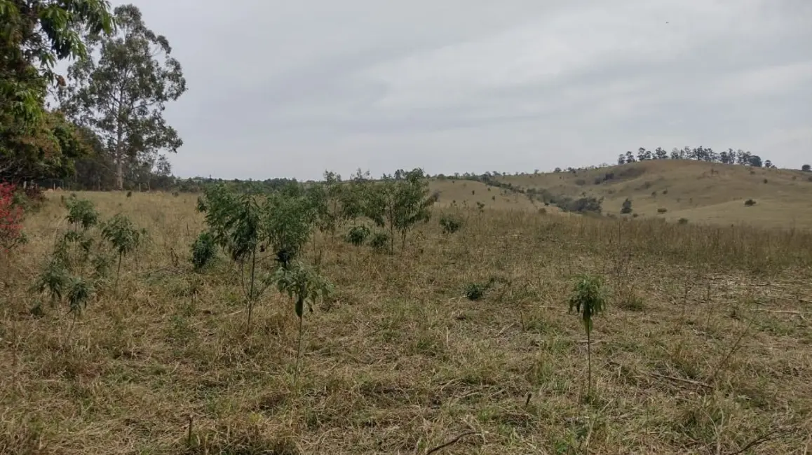 Foto 4 de Chácara à venda, 20000m2 em Itupeva - SP